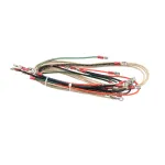 Frymaster WIR0944SP Wire Assembly, GSMS N/BL w/ AF Euro, 120V