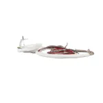 Royal Range WIREHARNESS COMPLETE WIRING HARNESS