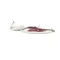 Royal Range WIREHARNESS COMPLETE WIRING HARNESS