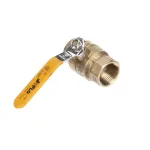 Cleveland WR51008 Ball Valve, Brass, 1'