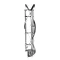 Taylor Freezers X31761 Beater, 3.4 Quart, Helicore