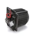 Globe X40068-1 Motor, 208 Volt, 60 HZ, 3 Phase, 2HP, SP40P