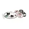 Taylor Freezers X42496 KIT A.-TUNE UP5472 HT