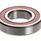 Globe X60024 BEARING