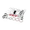 Taylor Freezers X65298 KIT A.-TUNE UP8771COAX PUMP