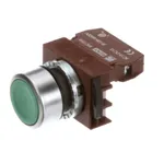 Globe XR9C10VN-ON Push Button Switch Assembly, On, Green