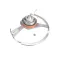 Vollrath XSSL5075 Blade Ring and Hub Assembly, 40955