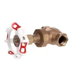 Groen Z004222 Globe Valve, Steam Inlet, 3/4" NPT
