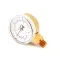 Groen Z099156 Dual Pressure Gauge