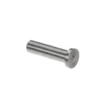 Fagor Commercial Z400516000 AXLE OF DOOR