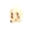Zesto ZRB1751012 Knob, Gas Valve, On/Off/Pilot, Tan