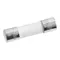 Manitowoc Ice 000008240 Fuse Ceramic - Control Board