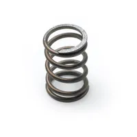 000895-45 T&S Brass