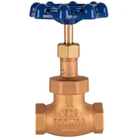 006648-20B T&S Brass