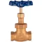 T&S 006648-20B Blue Globe Valve Handle with 3/4" NPT Female Connections