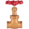 T&S 006648-20R Red Globe Valve Handle with 3/4" NPT Female Connections