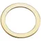 T&S 009752-45 Bonnet Washer