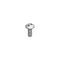 T&S 014145-45 Vandal Resistant Push Button Screw