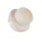 Scotsman 02-2809-02 Drain Top