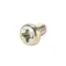 Waring 030706 Ground Screw for Drink Mixers