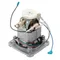Waring 030874 Motor for Blenders