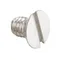 Waring 032399 Flat Top Screw