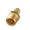 Champion 0502651 Coupler 1/2mptx1/2hose Sw/500