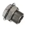 Champion 0509179 Fitting,1/2npt Bulk Head Ni Pt