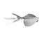ColdZone 08221175 Blade