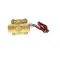 Champion 100054 Valve 3/4 120