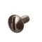 Champion 100097 Screw