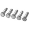 Rational 1008.0766P Hex Screw M8X30 - 5/Pack