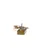 101542 Groen
