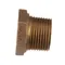 Champion 105976 Bush Red 3/4x1/