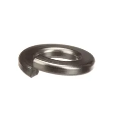 Champion 106013 Lock Washer