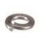 Champion 106482 Lock Washer 1/4 Split