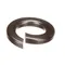 Champion 107589 Washer