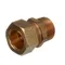 Champion 109879 Brass Fitting