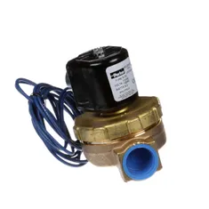 Champion 109887 Valve 3/4 In 120v