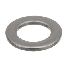 Champion 110248 Washer