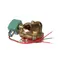 Champion 114800 Solenoid Valve