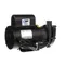 Champion 115231 Pump