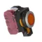 Champion 115397 Pushbutton Flush Amber