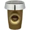 Zurn 12-35XL 1/2" Atmospheric Vacuum Breaker for High Hazard Conditions