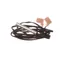 Norlake 145288 Sensor Dixell 18nb-Ntc-1.5 Mfc