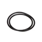 Everpure 151122 O-Ring