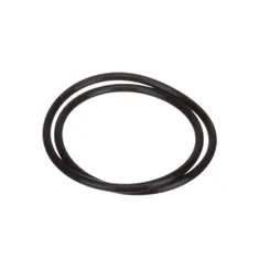 Everpure 151122 O-Ring