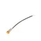 Blakeslee 16560 Light Amber-Cycle
