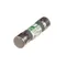Blakeslee 16688 Fuse 10amp 250v