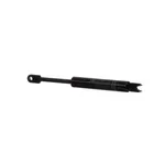 Hussmann 175011693A Vieler Cylndr 400n Rgsdl